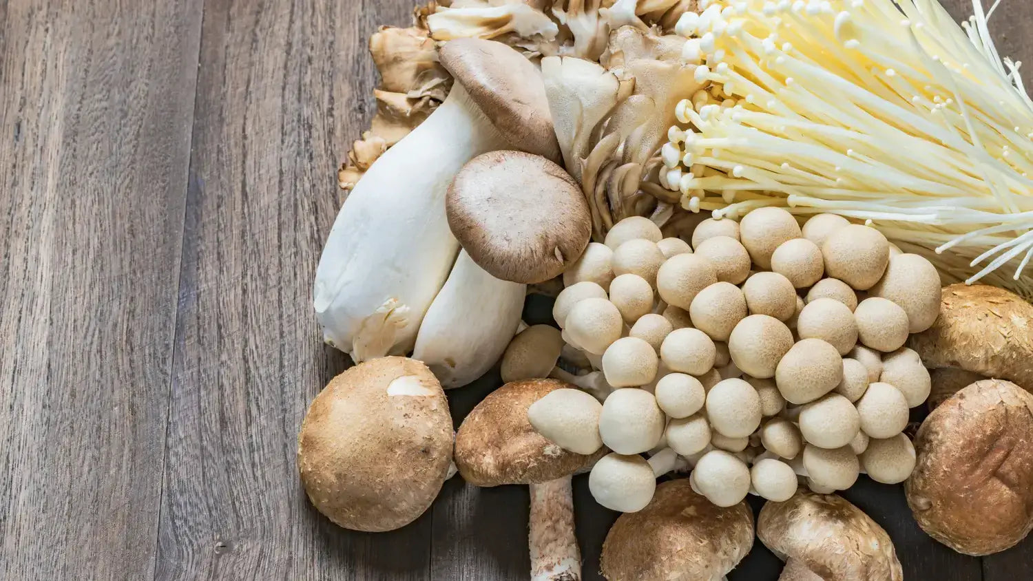 A Complete Guide to Functional Mushrooms