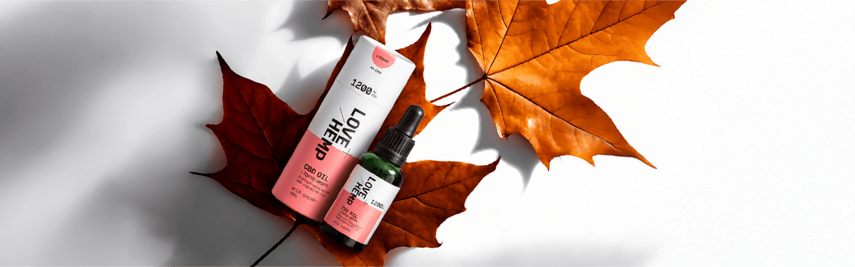 Product Spotlight: Our Mild CBD Oil Drops, a Friendly First Step for Autumn