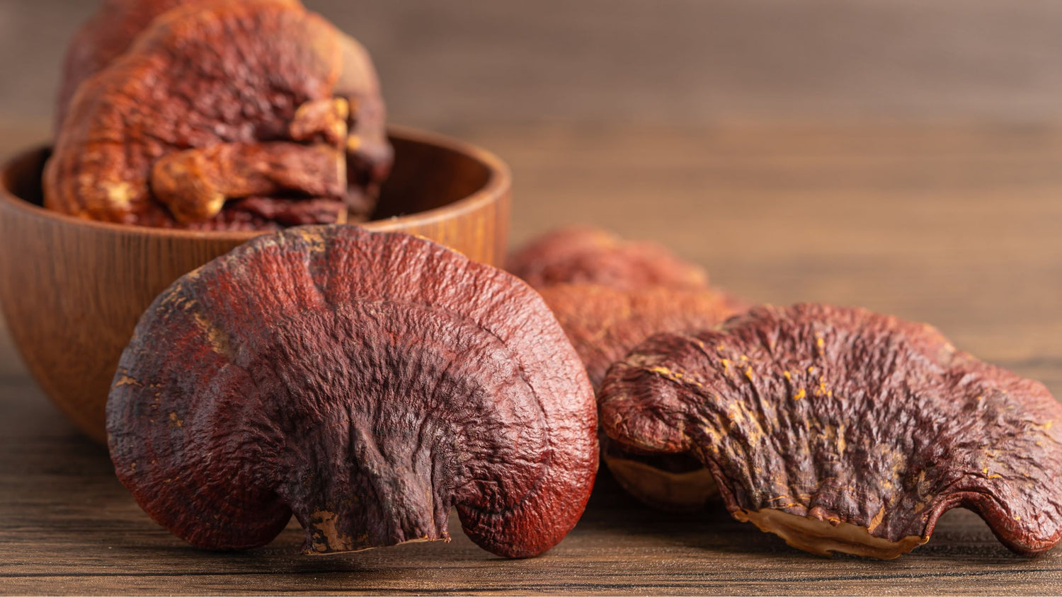 Reishi Mushroom: A Natural Path to Calm