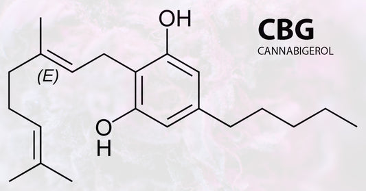 What Is CBG and How is it Different from CBD?