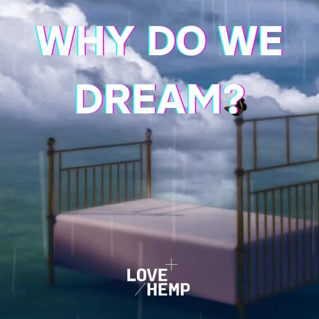 CBD Dreams