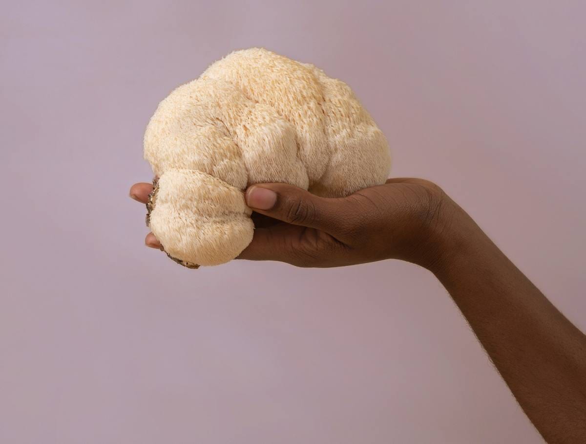 The Gut-Brain Connection: Supporting Balance from Within