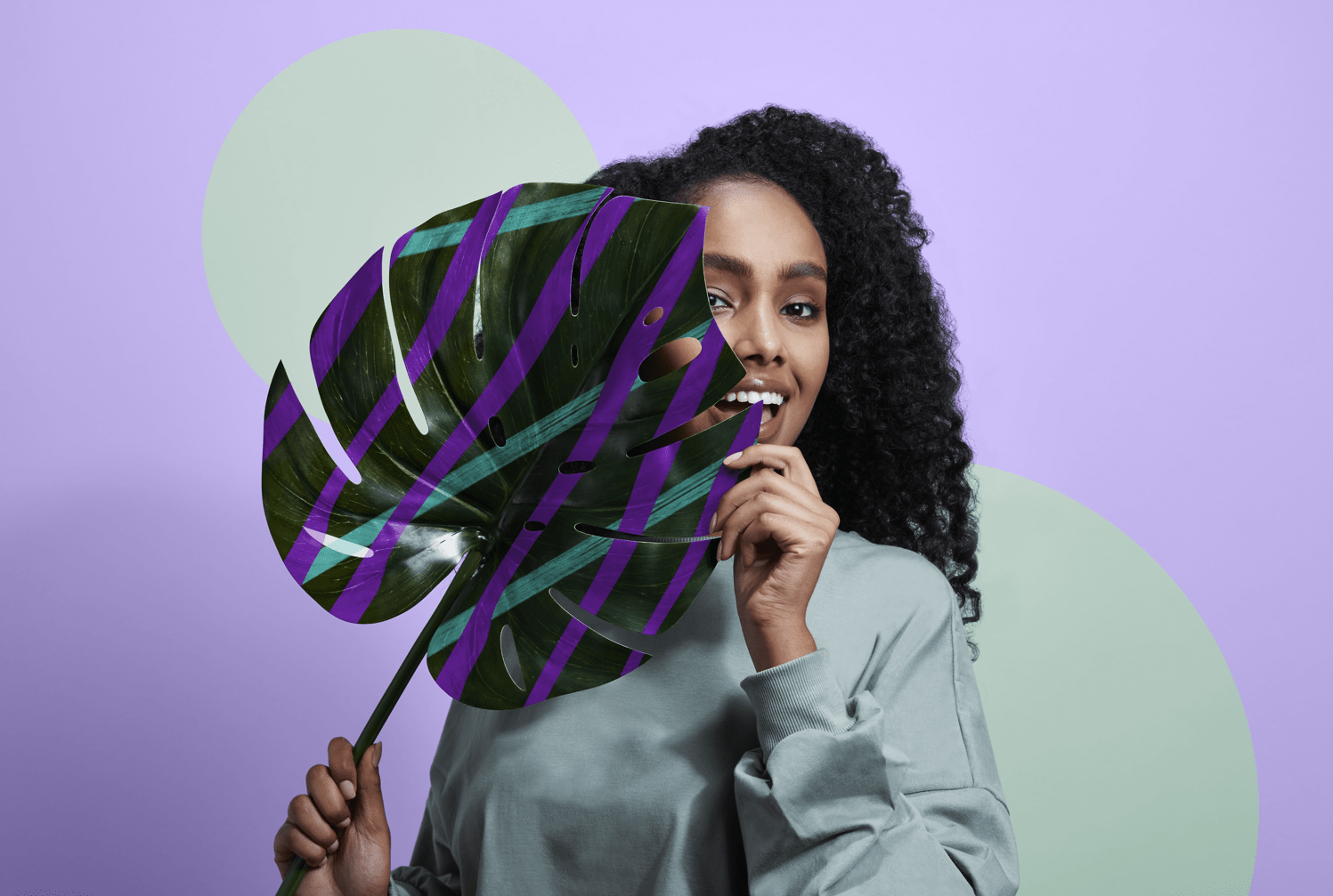 Love Hemp: A New Chapter Under BSQ Holdings Ltd