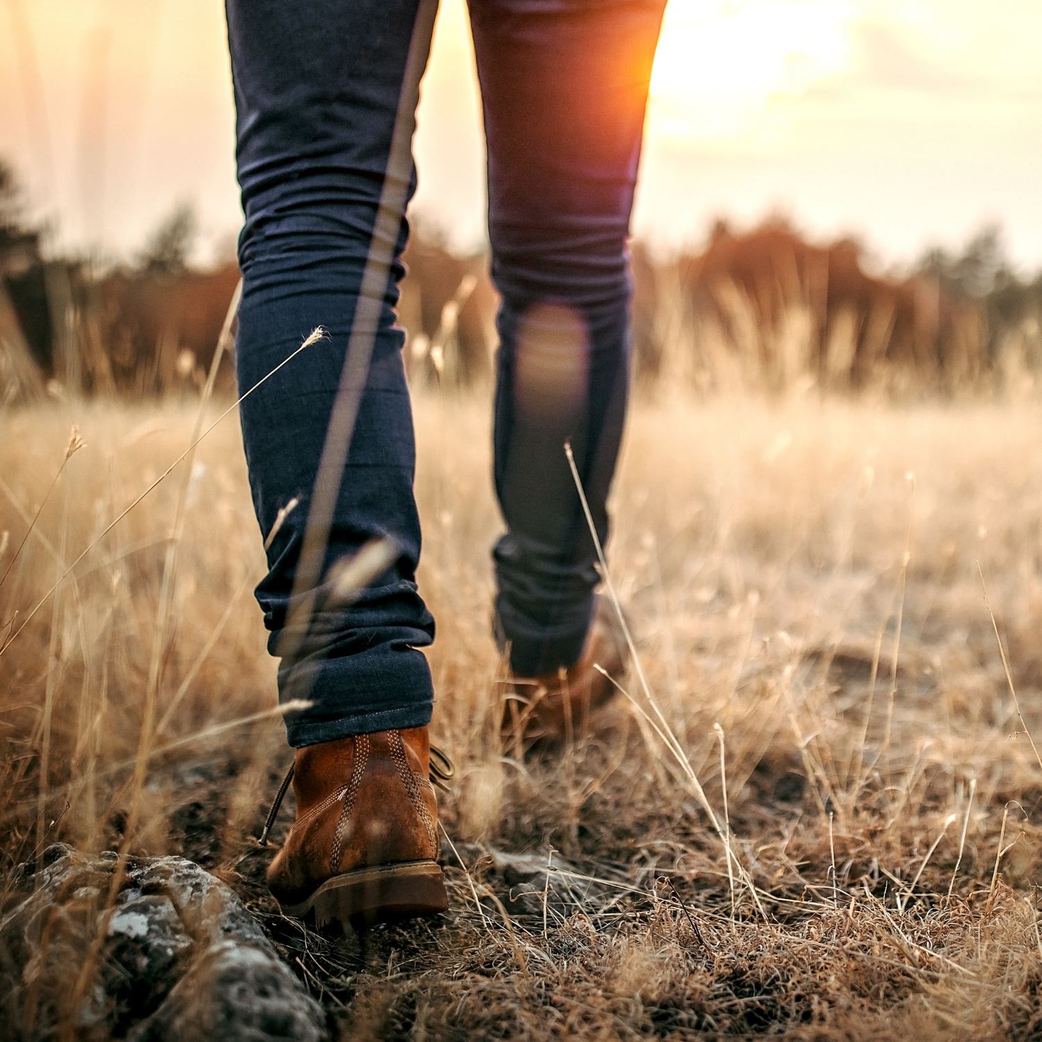 The Wellness Walk: Why a Daily Walk Could Be the Most Underrated Habit for Your Health