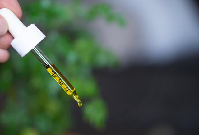 CBD Oil in a droplet